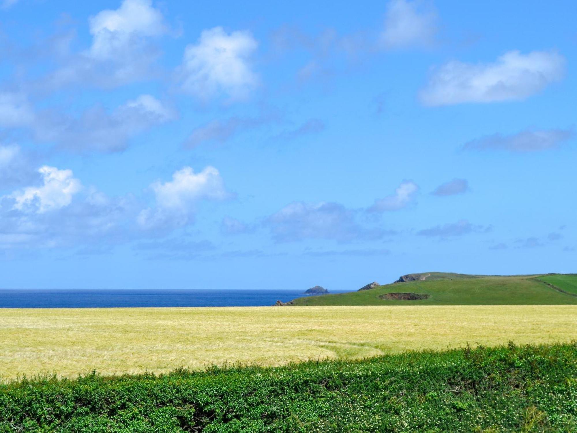 St Cadoc Cottage Saint Merryn Bagian luar foto